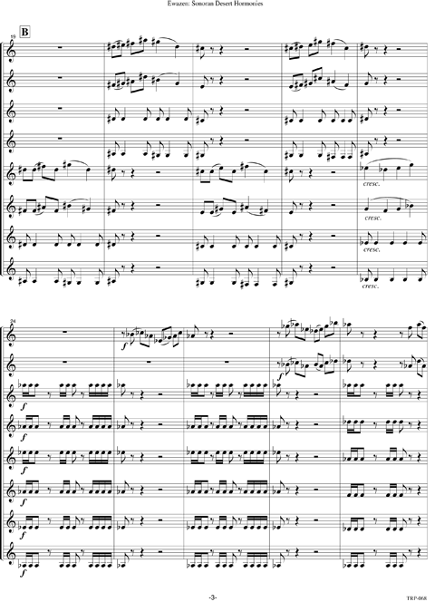 Sonoran Desert Harmonies - Image 4