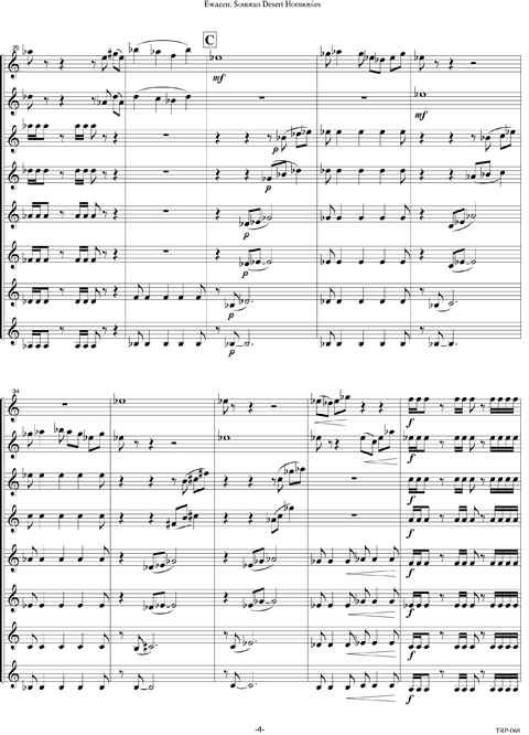 Sonoran Desert Harmonies - Image 5