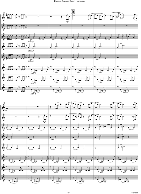 Sonoran Desert Harmonies - Image 6