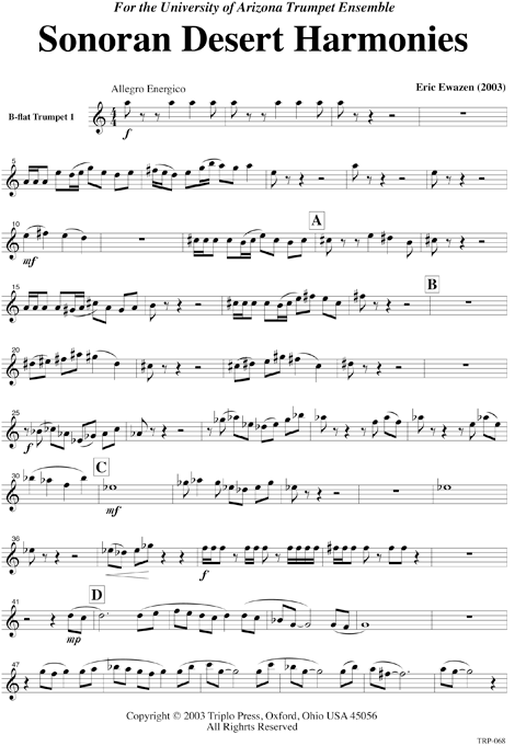 Sonoran Desert Harmonies - Image 7