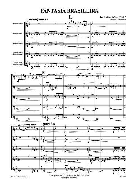 Fantasia Brasileira - Image 2