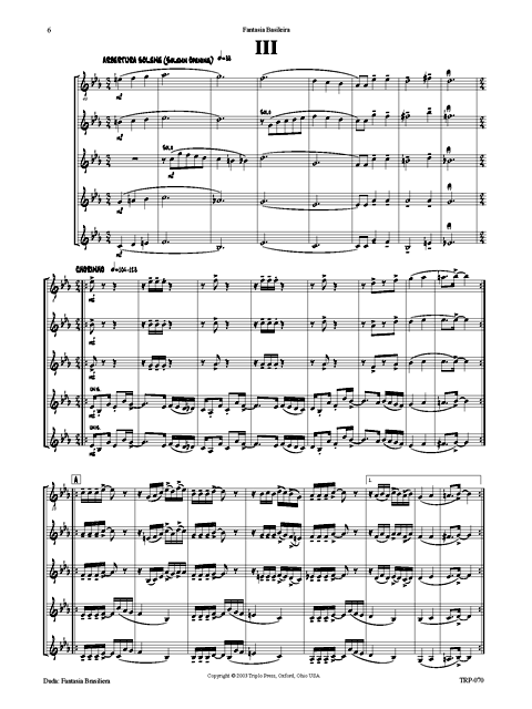 Fantasia Brasileira - Image 6