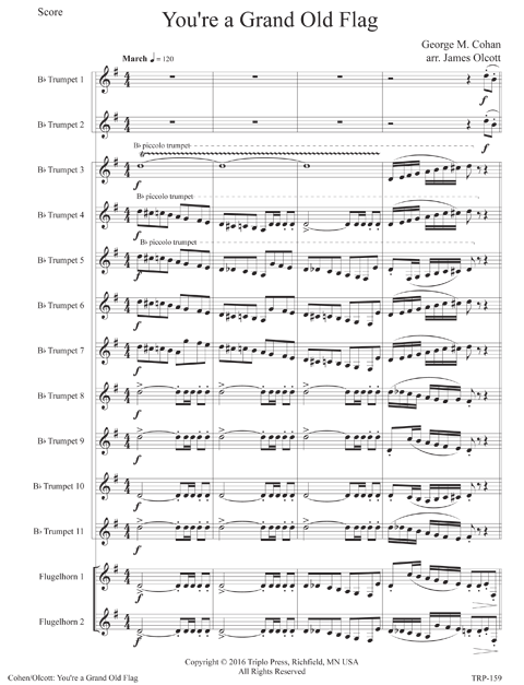 You're a Grand Old Flag - Image 2