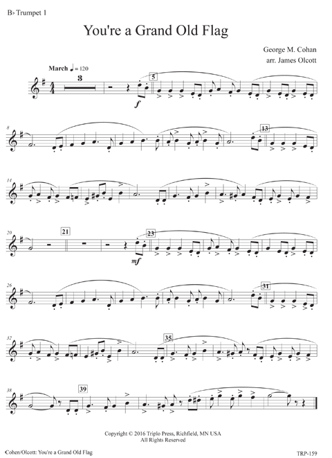 You're a Grand Old Flag - Image 5